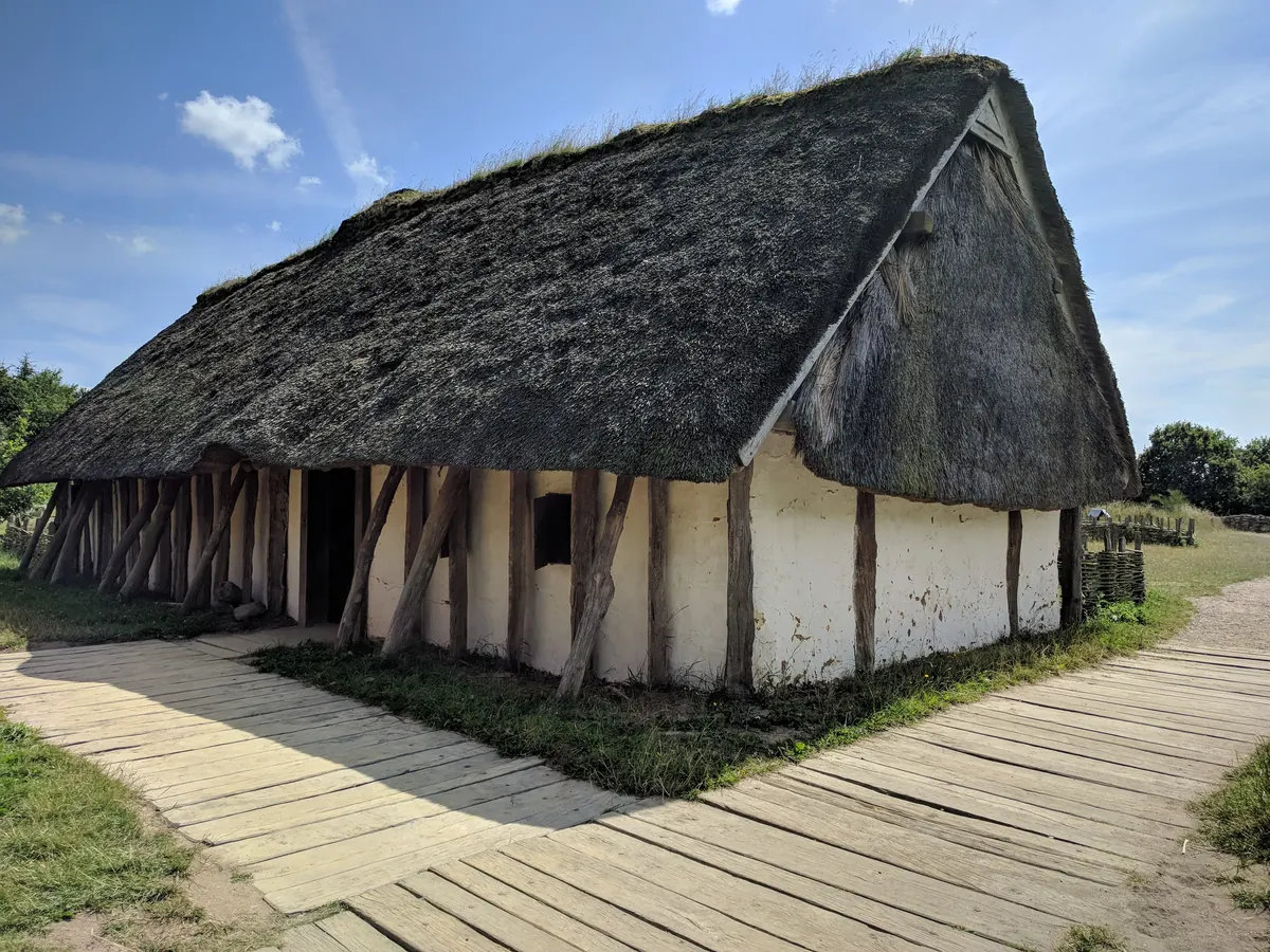 Rekonstruert vikinghus med stråtak og hvitkalkede vegger i Ribe VikingeCenter