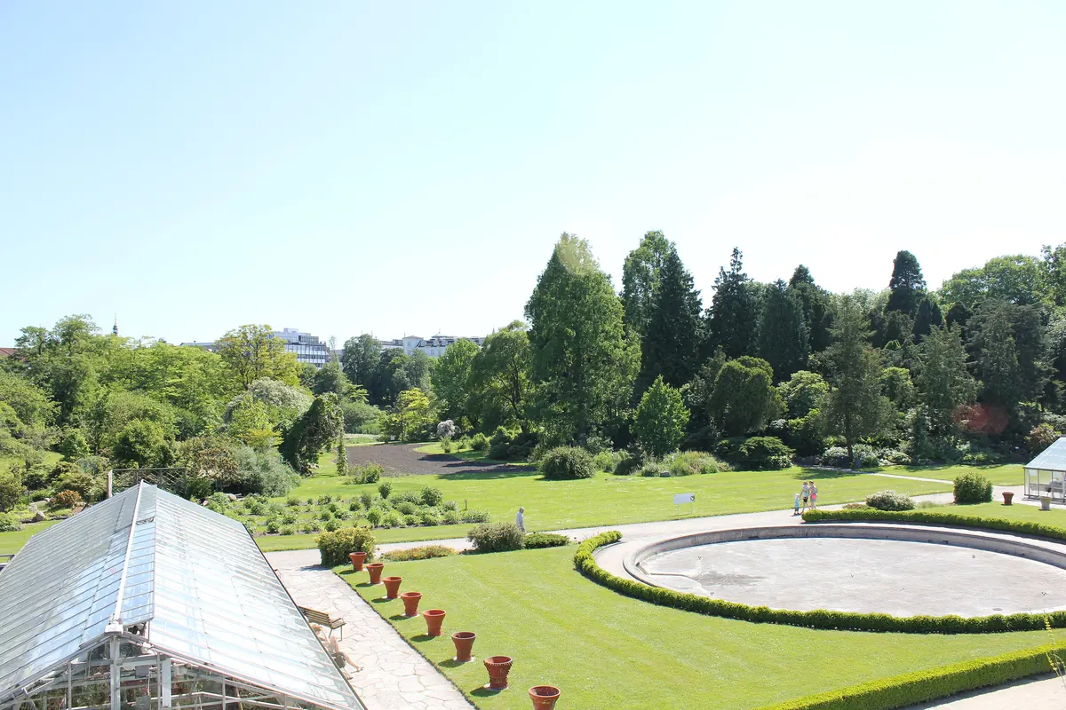 Glasstak på et drivhus foran plener, blomsterbed og høye bartrær i Botanisk Have