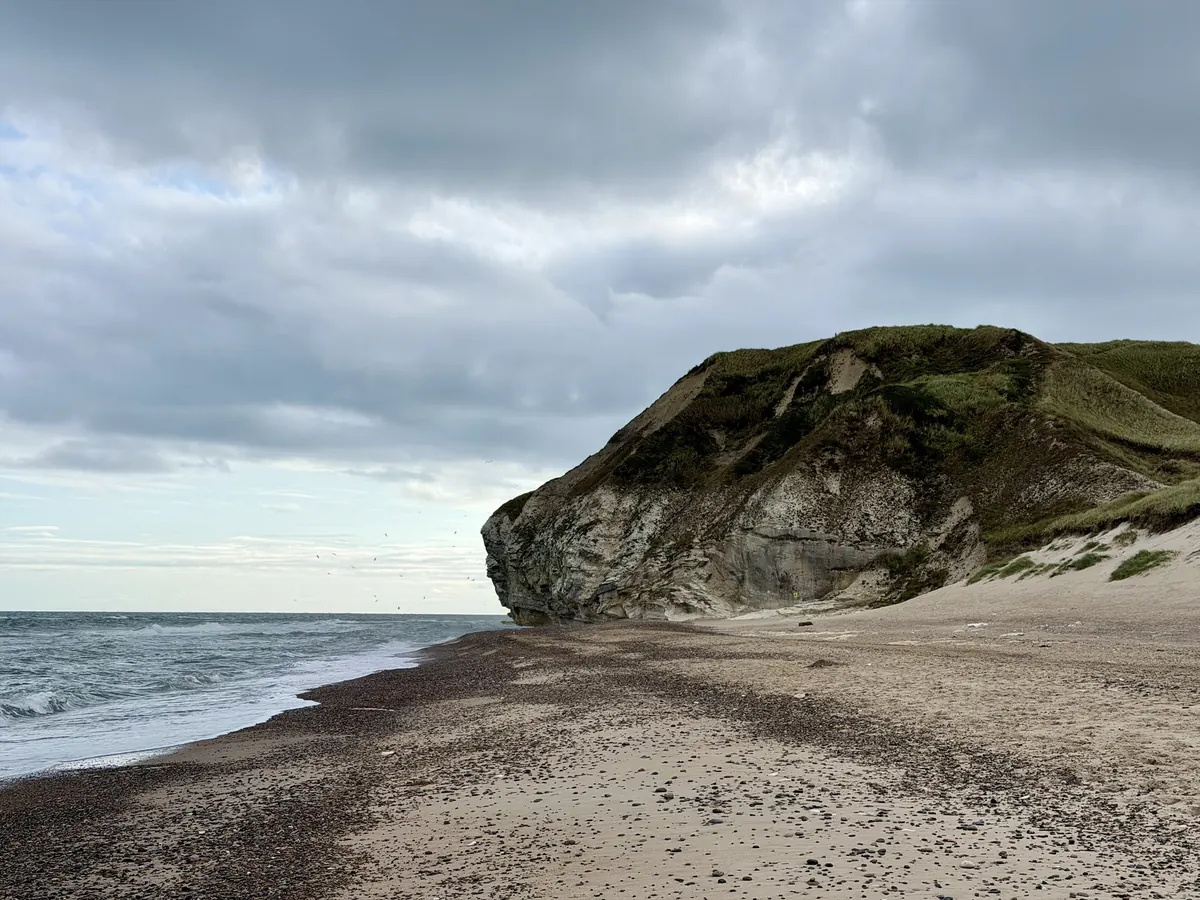 Kalkklippen reiser seg bak en rullesteinsstrand ved Skagerrak under grå himmel