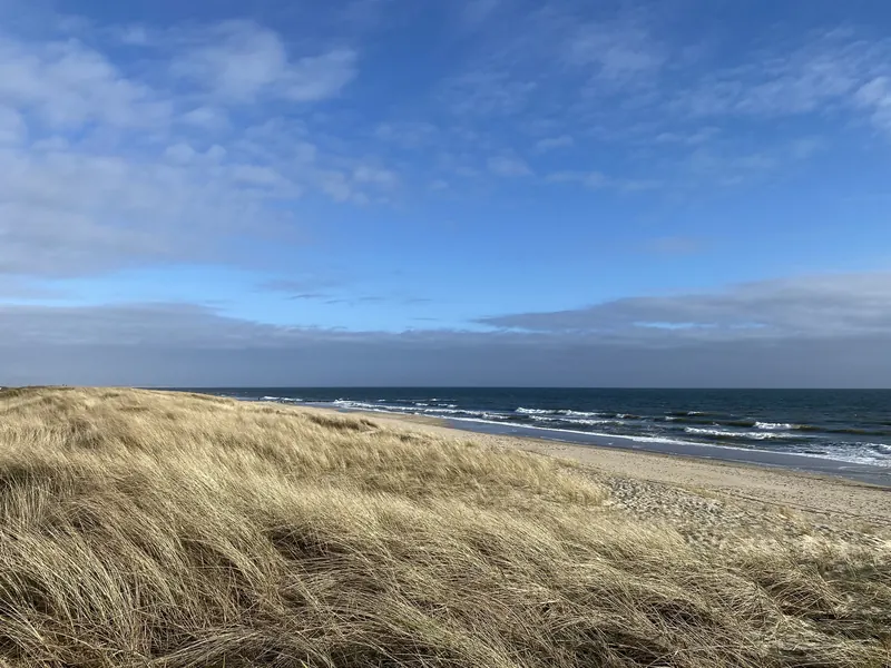 Klitter med marehalm ned mot en bred sandstrand og Nordsjøen under blå himmel