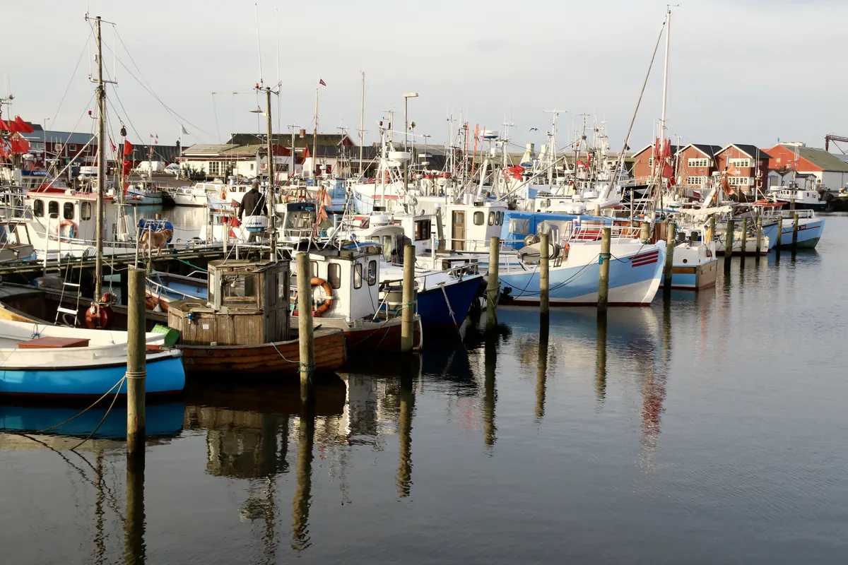 Fiskebåter ligger tett i havnen i Gilleleje med speilblankt vann