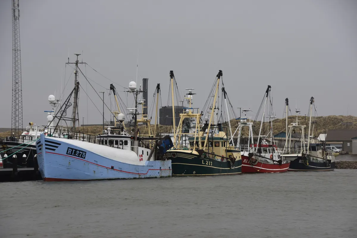 Fiskekuttere ligger tett i havnen i Hvide Sande