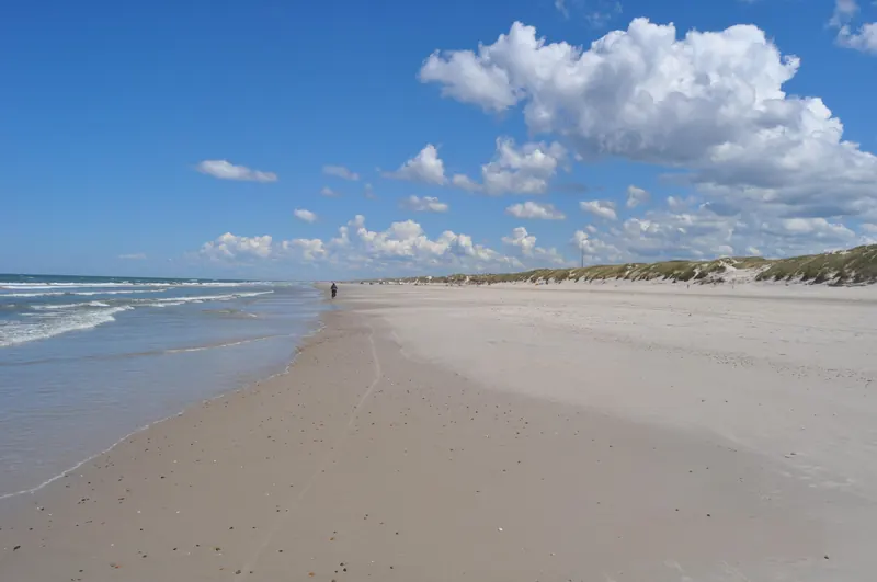 Bred sandstrand med klitter og bølger under blå himmel ved Vejers Strand